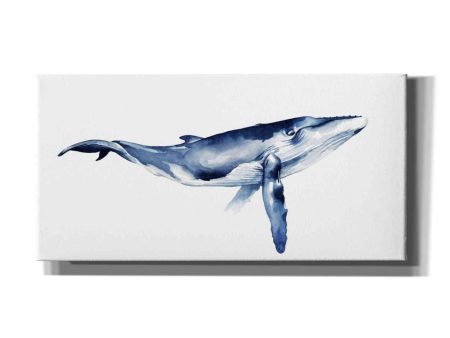 Whale Portrait I  by Grace Popp, Canvas Wall Art Online now