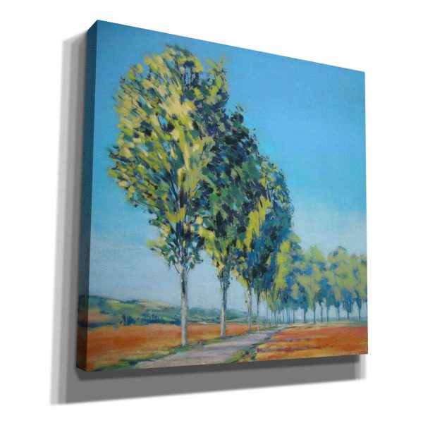 Normandy Poplars II  by Jennifer Gardner, Canvas Wall Art Hot on Sale