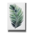 Untethered Palm VII I  by Grace Popp, Canvas Wall Art Hot on Sale