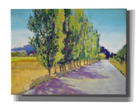 Backlit Poplars Provence  by Jennifer Gardner, Canvas Wall Art on Sale