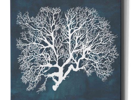 Inverse Sea Fan III  by Grace Popp, Canvas Wall Art Supply