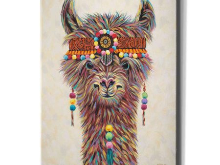 Hippie Llama II  by Carolee Vitaletti Canvas Wall Art Hot on Sale