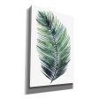 Untethered Palm VII I  by Grace Popp, Canvas Wall Art Hot on Sale