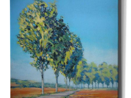 Normandy Poplars II  by Jennifer Gardner, Canvas Wall Art Hot on Sale