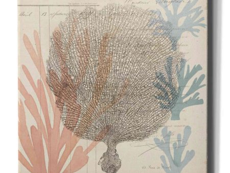 Sea Ephemera I  by Grace Popp, Canvas Wall Glass For Discount