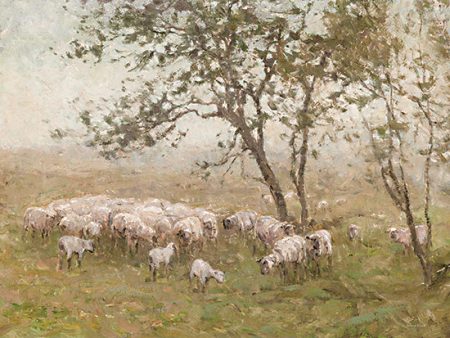 LET807 - Pastoral Sheep Scene - 16x12 Discount