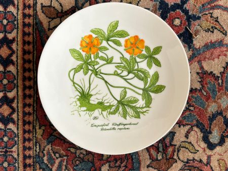 Cinquefolia Plate Sale