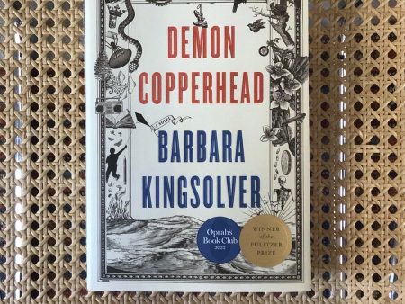 Demon Copperhead Barbara Kingsolver Fashion