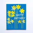 Birthday Daffodils on Sale