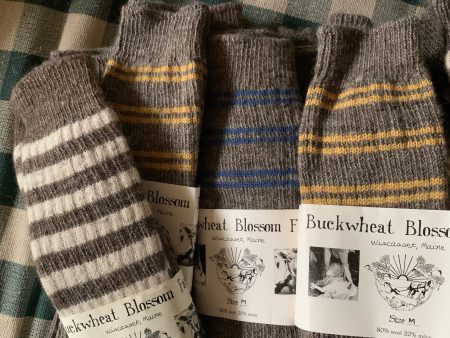 Maine Wool Socks For Sale