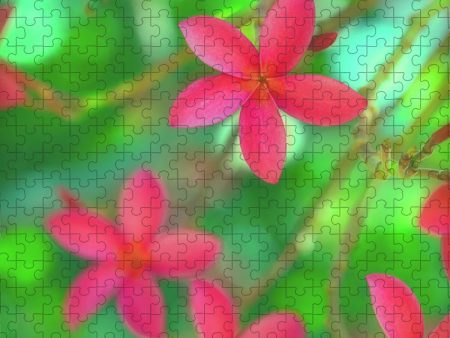 Plumeria Jungle Dream - Puzzle Sale