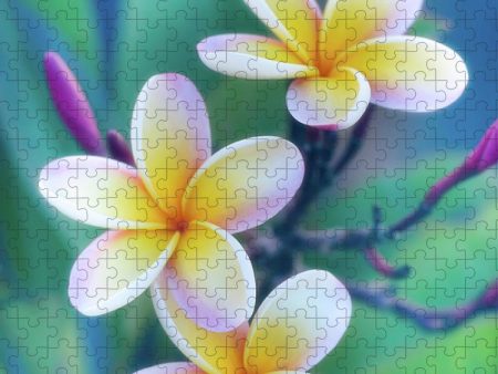 Plumerias in Pastel - Puzzle For Cheap