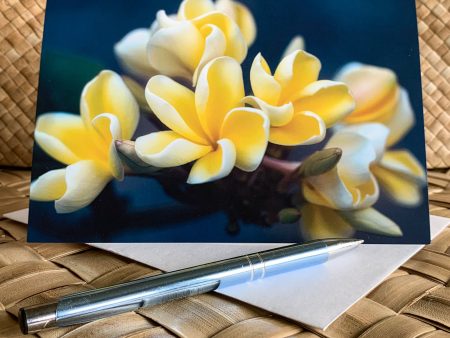 Plumerias Out of the Blue greeting cards   8 pk for $20Only 3 sets left Supply