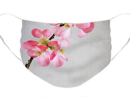 Plum Blossoms - Face Mask Supply