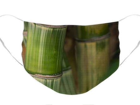 Bamboo Forest - Face Mask Supply