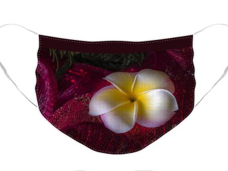 Christmas Tree Plumeria - Face Mask Online now