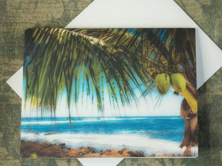 Coconut Beach Notecards Set of 10 $14 Hot on Sale