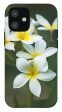 Plumerias on a Cloudy Day - Phone Case Hot on Sale