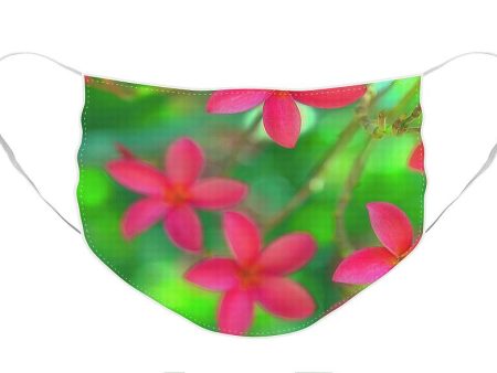 Plumeria Jungle Dream - Face Mask Discount