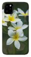 Plumerias on a Cloudy Day - Phone Case Hot on Sale