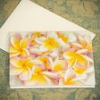 Plumeria Love Notecards 10 pack for $14Sold Out Discount