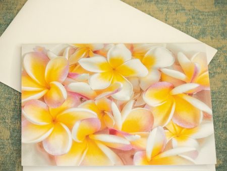 Plumeria Love Notecards 10 pack for $14Sold Out Discount