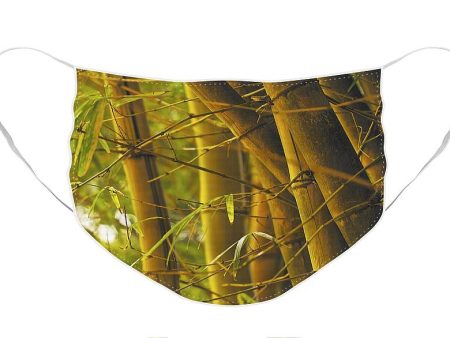 Bamboo Gold - Face Mask Supply