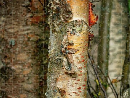 Alaska Paper Birch - Puzzle Online now