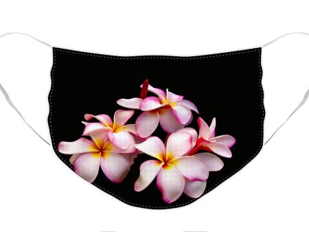 Plumerias on Black - Face Mask on Sale