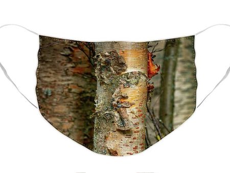 Alaska Paper Birch - Face Mask Online now