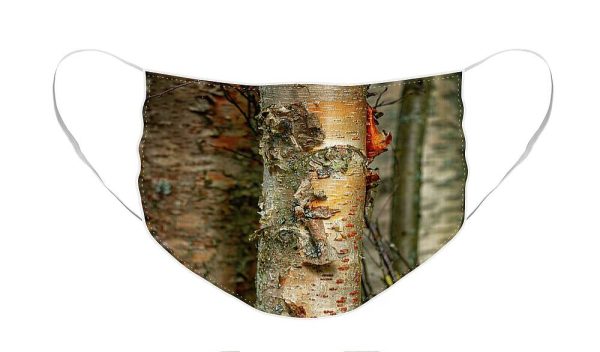 Alaska Paper Birch - Face Mask Online now