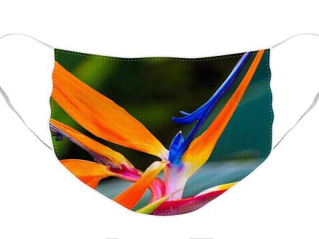 Bird of Paradise - Face Mask For Sale