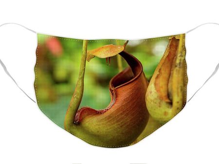 Pitcher Plant - Face Mask Sale