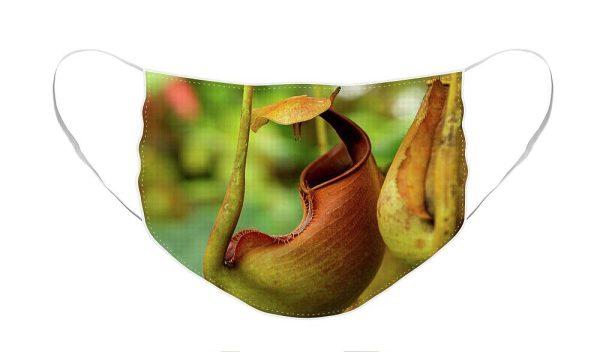 Pitcher Plant - Face Mask Sale