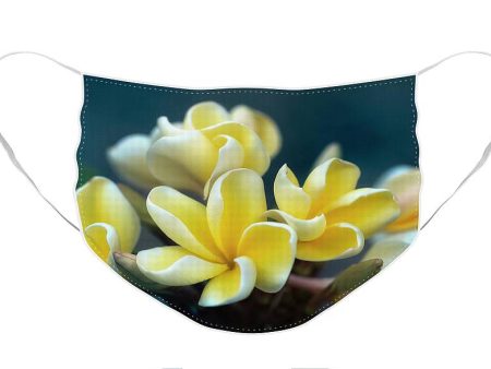 Plumerias Out of the Blue - Face Mask Discount