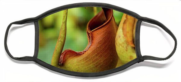 Pitcher Plant - Face Mask Sale