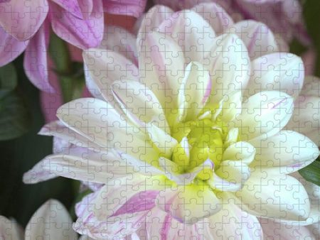 Dahlias in Full Bloom - Puzzle Online Sale