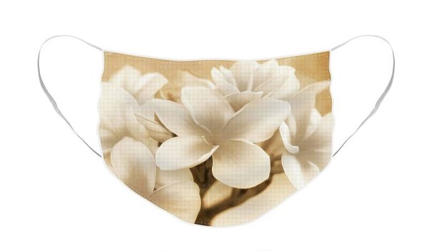 Plumerias in Cream and Brown - Face Mask Discount