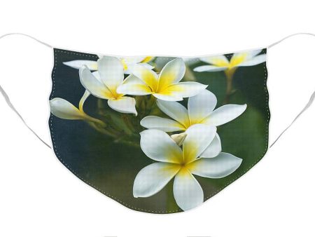 Plumerias on a Cloudy Day - Face Mask Supply