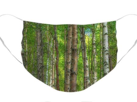 Alaska Idyll - Face Mask For Discount