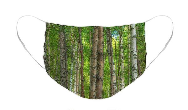 Alaska Idyll - Face Mask For Discount