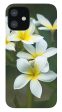 Plumerias on a Cloudy Day - Phone Case Hot on Sale