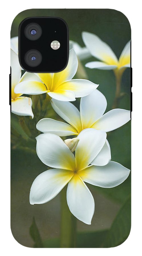 Plumerias on a Cloudy Day - Phone Case Hot on Sale