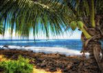 Beautiful Kauai - Puzzle Online now