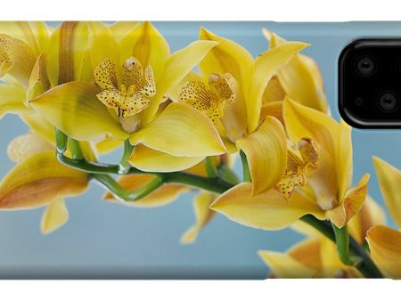 Golden - Phone Case Online Sale