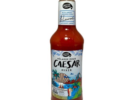 MASTER OF MIXES - BLOODY CAESAR MIX 6x1 LT Supply