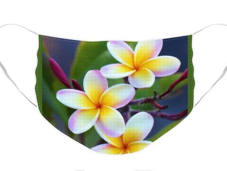 Backyard Plumeria - Face Mask Online Hot Sale