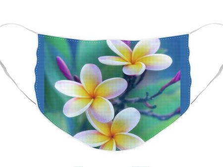 Plumerias in Pastel - Face Mask Discount