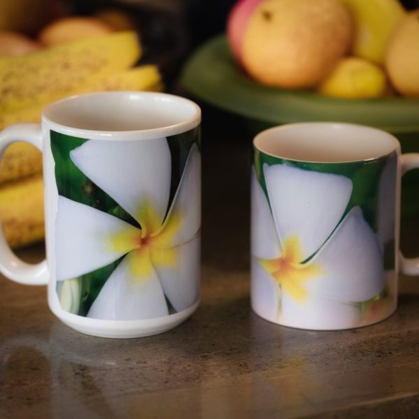 Laukahi Plumerias Mug Set$38 Supply